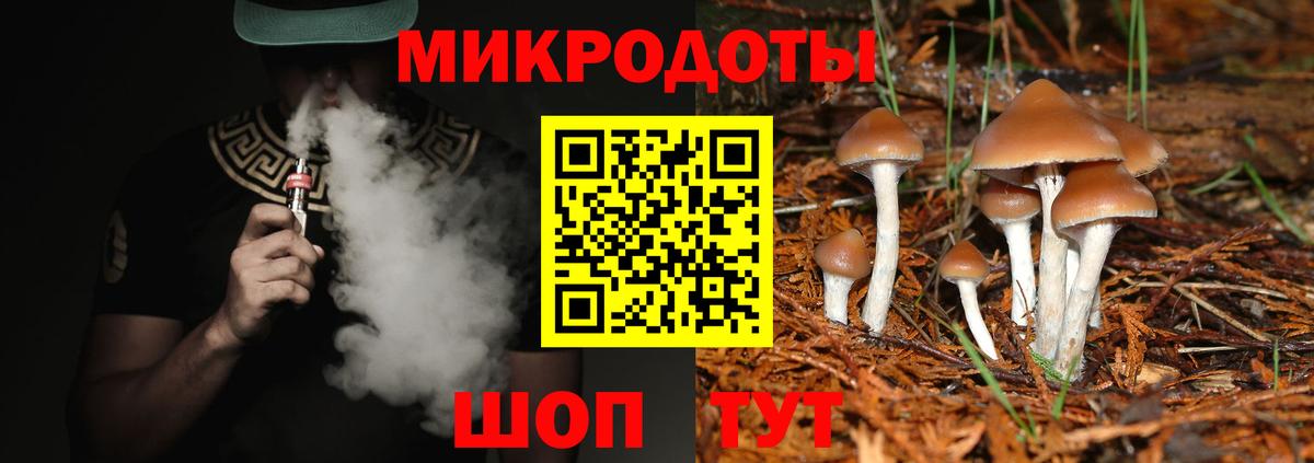Псилоцибиновые грибы мицелий  Вход с VPN  Амурск  Псилоцибиновые грибы GOLDEN TEACHER 